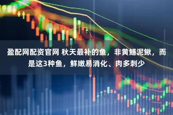 盈配网配资官网 秋天最补的鱼，非黄鳝泥鳅，而是这3种鱼，鲜嫩易消化、肉多刺少
