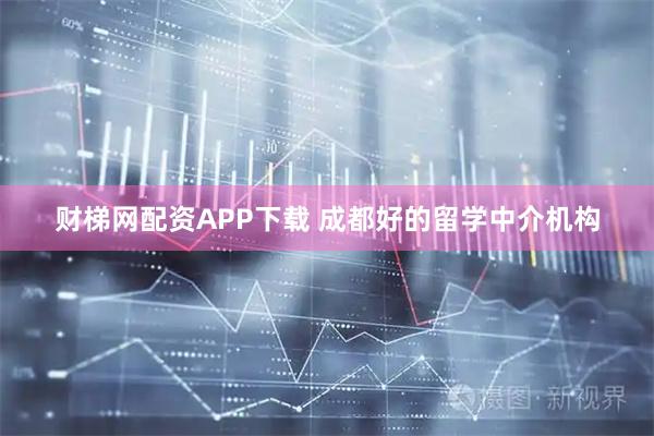 财梯网配资APP下载 成都好的留学中介机构