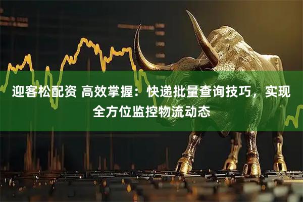 迎客松配资 高效掌握：快递批量查询技巧，实现全方位监控物流动态