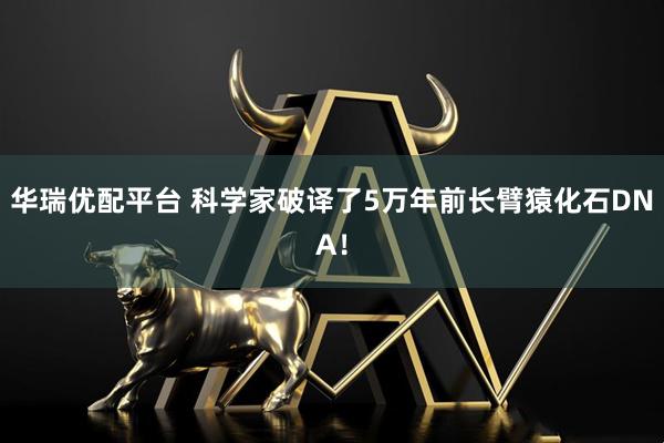 华瑞优配平台 科学家破译了5万年前长臂猿化石DNA!