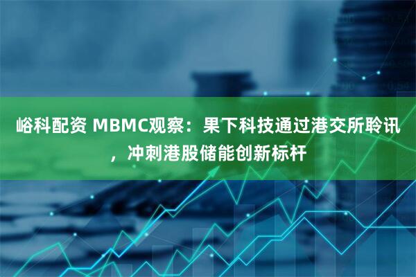 峪科配资 MBMC观察：果下科技通过港交所聆讯，冲刺港股储能创新标杆